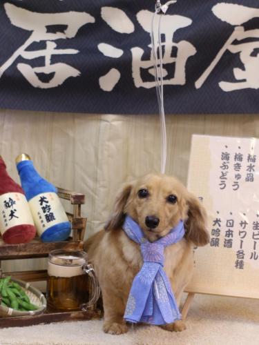 20240515モカちゃん